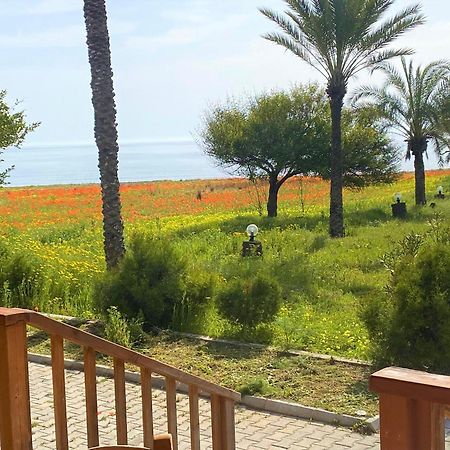 Paradise Karpaz Hotel & Restaurant Rizokarpaso Exterior foto